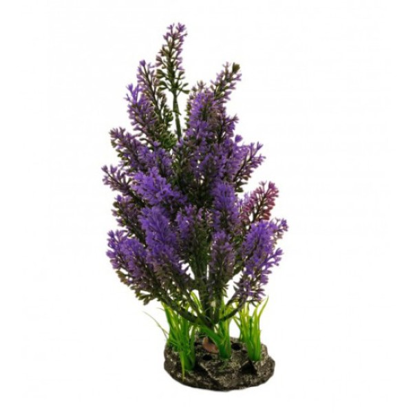 ΔΙΑΚΟΣΜΗΤΙΚΟ ΦΥΤΟ ΕΝΥΔΡΕΙΟΥ 30Χ9.5CM